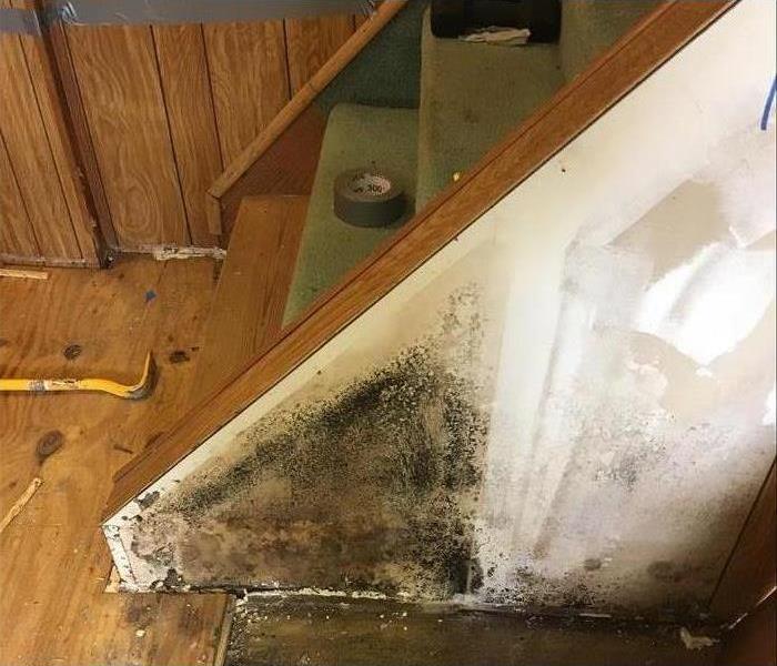 wall mold damage stairwell